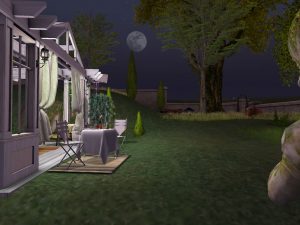 snapshot_003