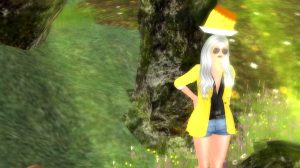 snapshot_006